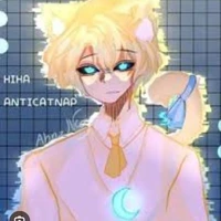 hihi anti catap