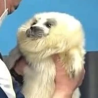 Tất cả (trừ ai thì trừ)