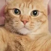 TI€|_| B∆|\|G |\|Ì