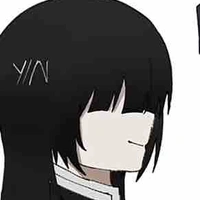 Y/N