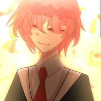 tt hiha