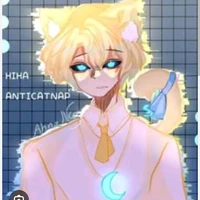 hiha anti capnat