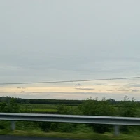 NVP