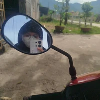 Sứa nè(T/g)