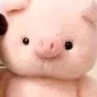 cả lớp(-hiha aut)