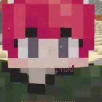 hiha_para