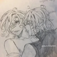 T/G