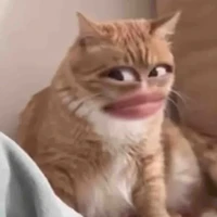t/g