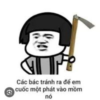 mọi người 🤡