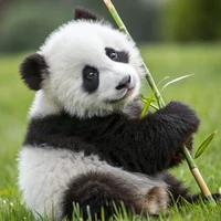 Hệ thống{Muzik}