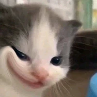 tác giả bị khùm !!