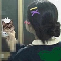 t/g hay bùn