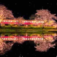 Tg tổng tài của các  em