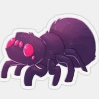 spider