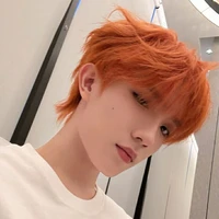 Tô Tân Hạo