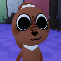 cocoa