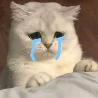 t/g[hệ thống]