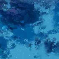 Tất cả những người khác (-vài người)