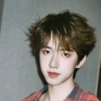 Hạ tuấn lâm( cậu )