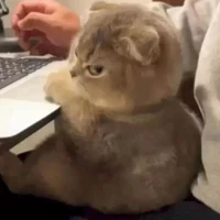 hệ thống của Tiểu Nhiễm