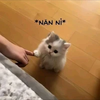 con vợ của gamin÷>