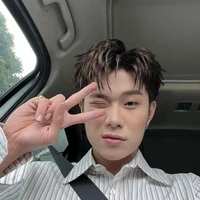 dương domic