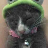 Thanh trúc ( bạn trà xanh )