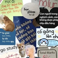 Bông t/g