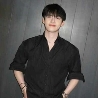Hoàng Hùng-Gemini