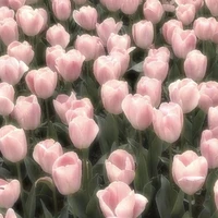 all