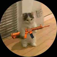 All:bot 