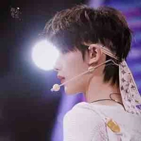 Đinh Trình Hâm(cậu)