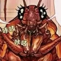 Gián chan thích ăn hành tây