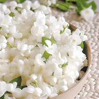 giúp việc 1