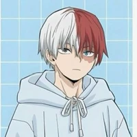 todoroki shoto