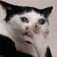 All