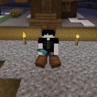 ☆Lưu Tử Hạ☆-Hệ thống 136