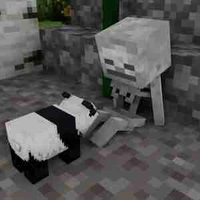 Skeleton ( hồi bé )