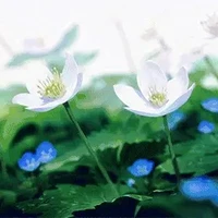 tất cả mọi người