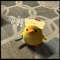 Ht (Niki)