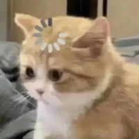 Tất cả mọi người