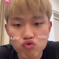 dương domic