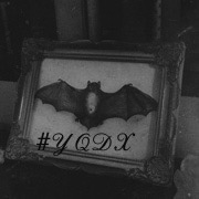 #YQDX