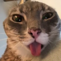 T/G xàm lồ-