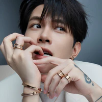 Bùi Anh Tú
