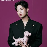 Nguyễn Thanh Pháp_ Pháp Kiều