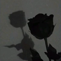 All @@??