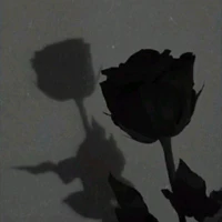 All @@??