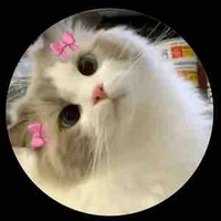 Hary 