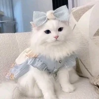 hệ thống siêu cấp víp rồ